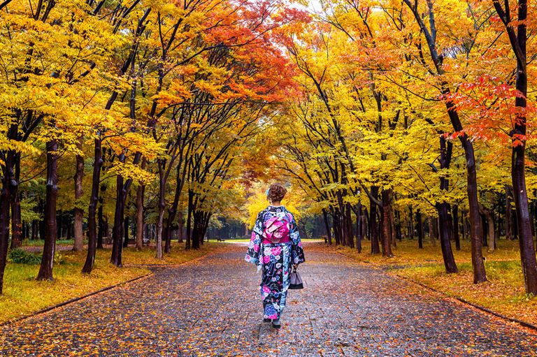 Japans goldene Route  ©tawatchaiprakobkit/istock